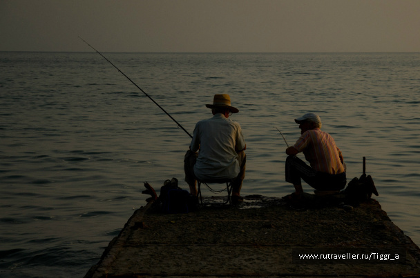 photo 275732