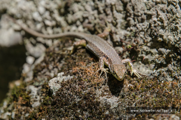 photo 280572