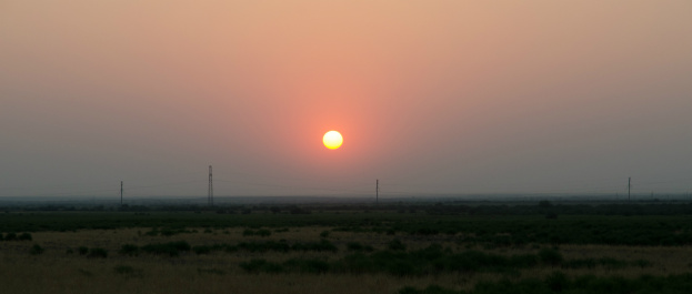 photo 269055