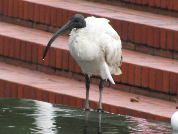 photo 234476