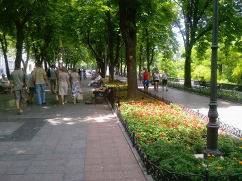 photo 133446