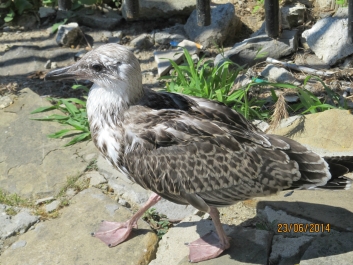 photo 781782