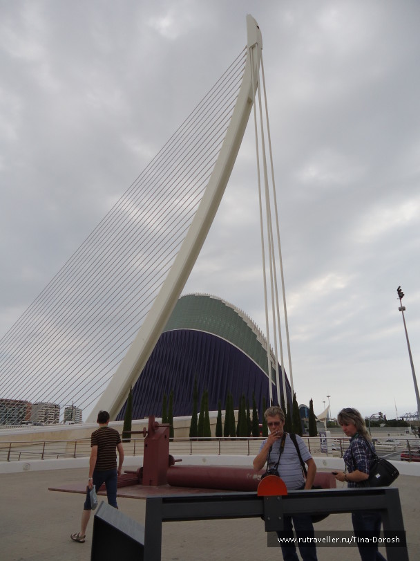 photo 587911
