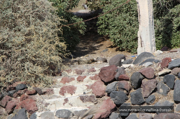 photo 588725