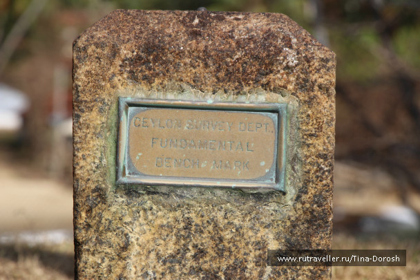 photo 693657