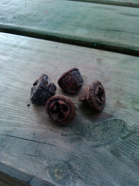 photo 1049470