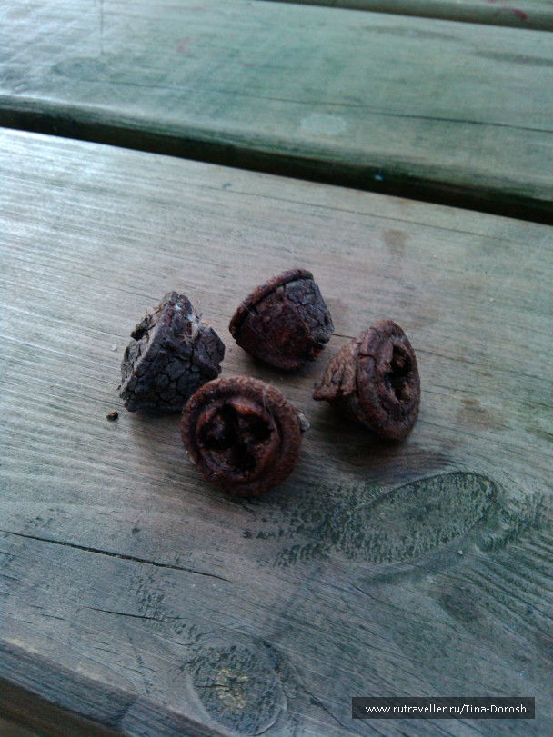 photo 1049470