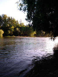 photo 1049471