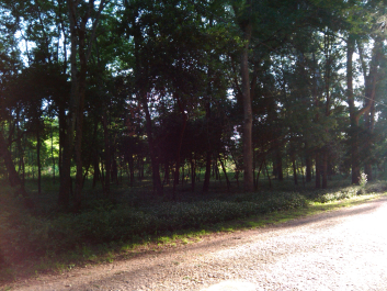 photo 1049474