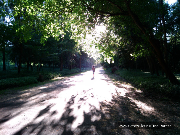 photo 1049476