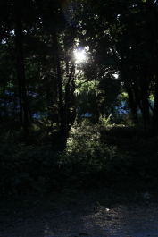 photo 1049480