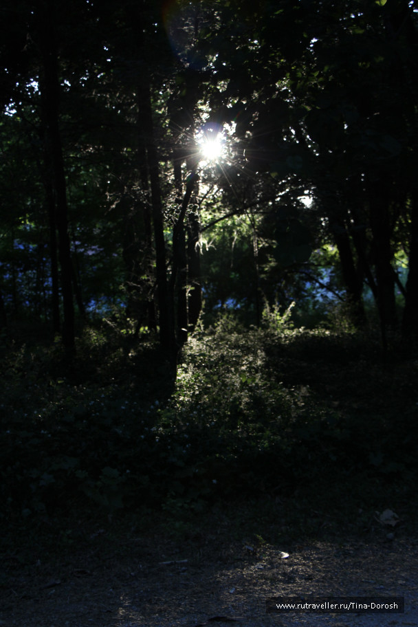 photo 1049480