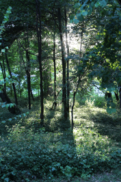 photo 1049481