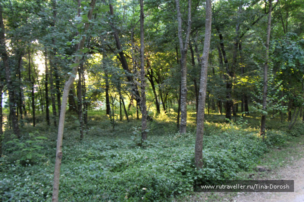 photo 1049482