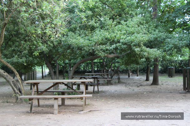 photo 1049483