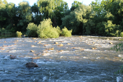 photo 1049486