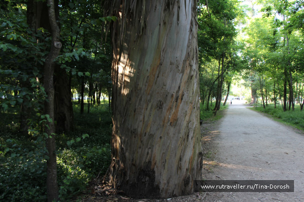 photo 1049491