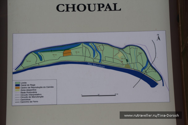 photo 1049492