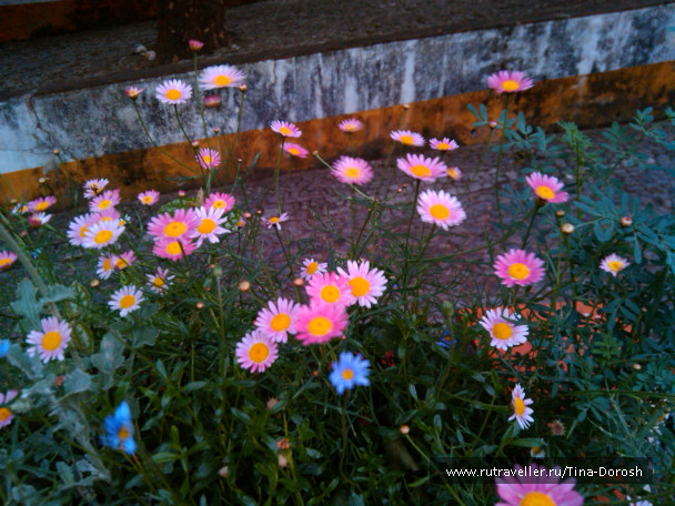 photo 1049554
