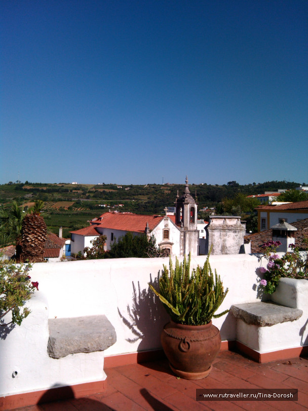 photo 1049559