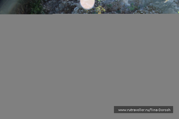 photo 1049561
