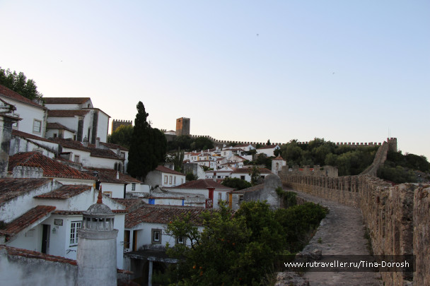 photo 1049571