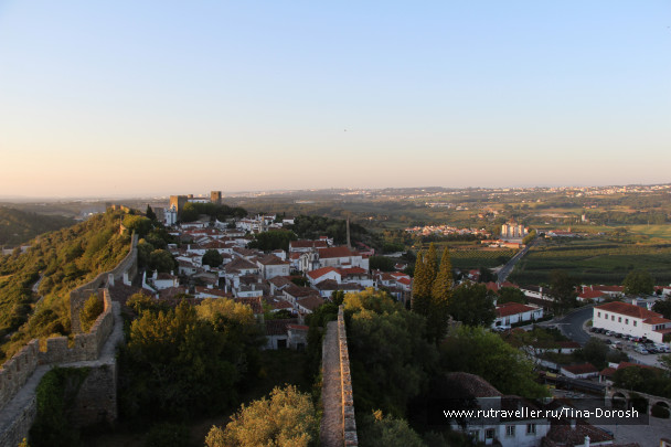 photo 1049573