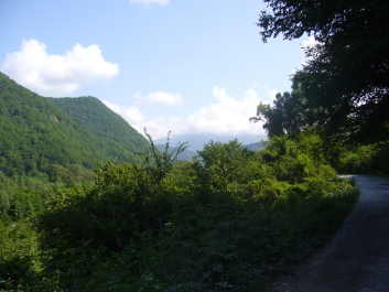 photo 589685