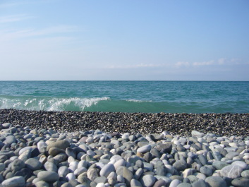photo 589691