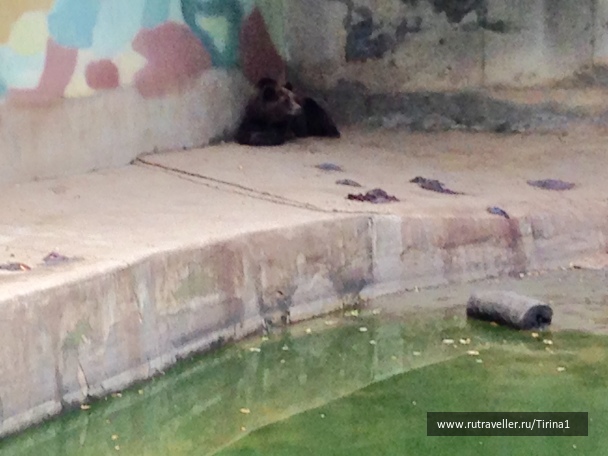 photo 1142990