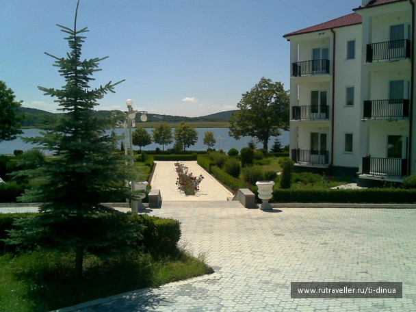 photo 20253