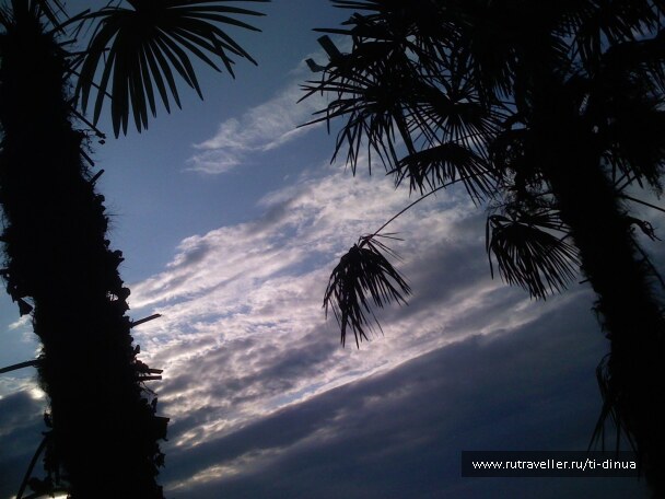photo 20255