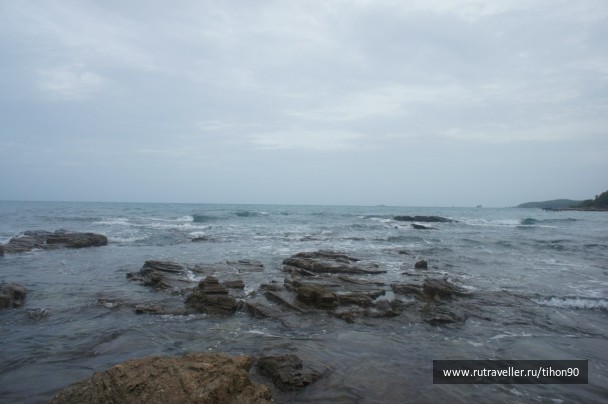 photo 254002