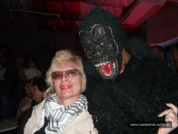 photo 1219562