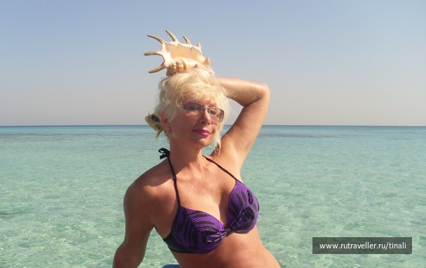photo 1219571