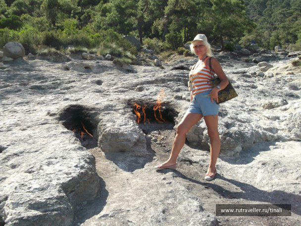 photo 413858