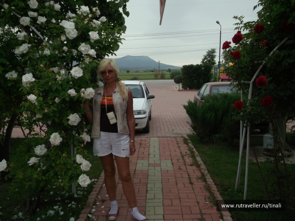 photo 413865