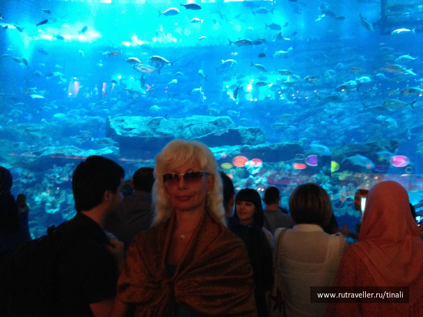 photo 661198