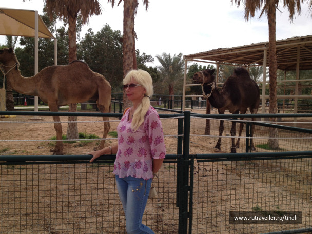 photo 661281
