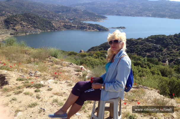 photo 1489789
