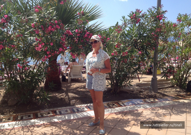 photo 1489799