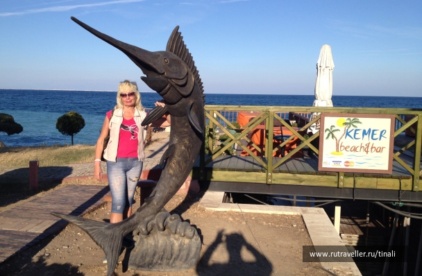 photo 1712455