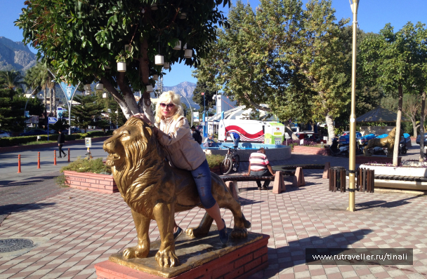 photo 1712462