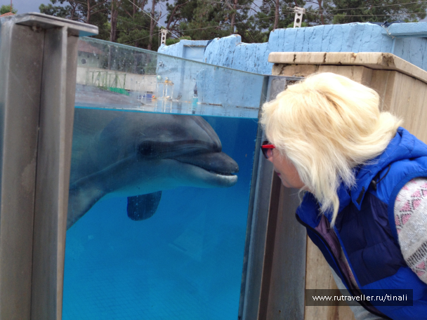 photo 1712473