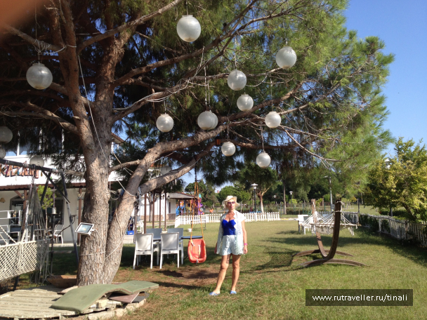 photo 1819504