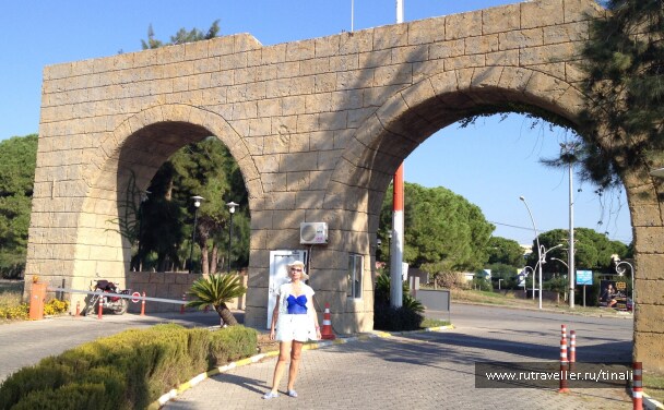 photo 1819507