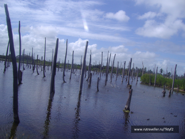 photo 225011