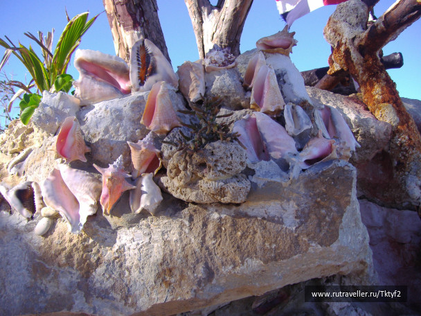photo 225016