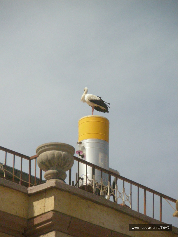 photo 224467