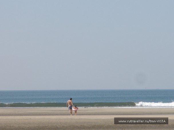 photo 650573